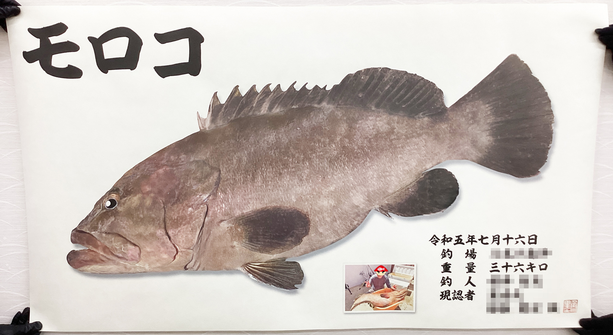 デジタル魚拓作品紹介】カラー魚拓+シャドウ モロコ 36㎏ | 魚墨ブログ