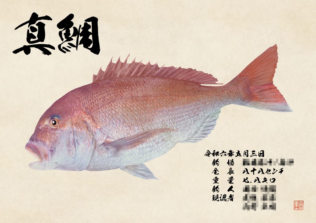 真鯛（カラー魚拓）