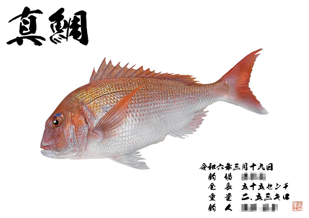 真鯛（カラー魚拓）