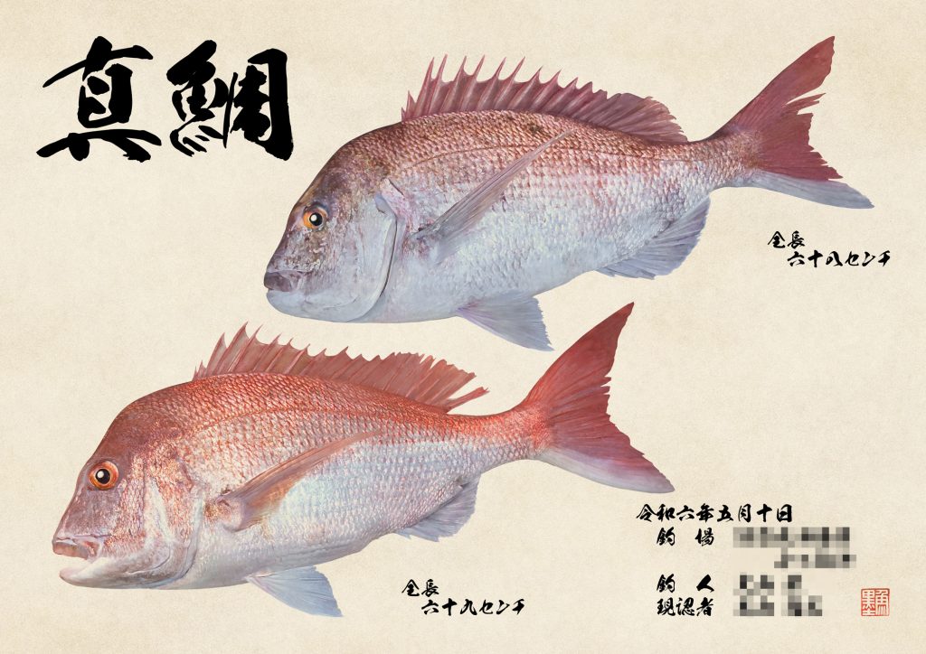 真鯛（カラー魚拓）