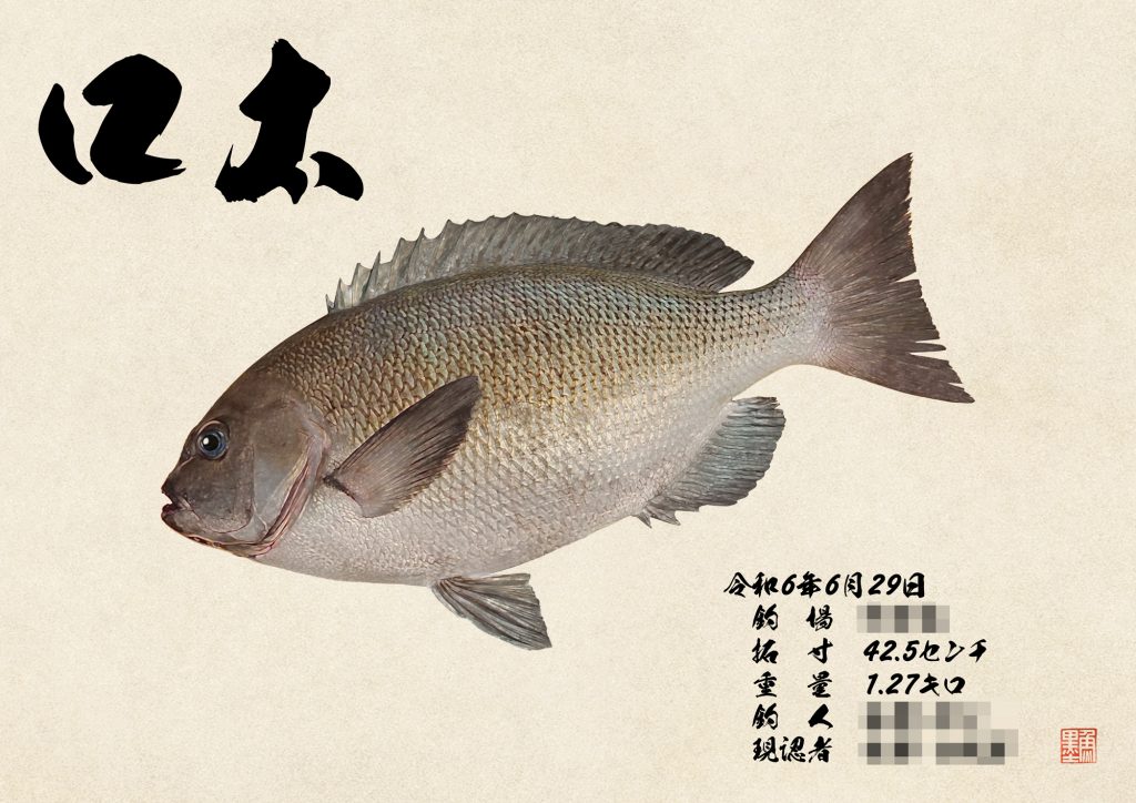 口太（カラー魚拓）