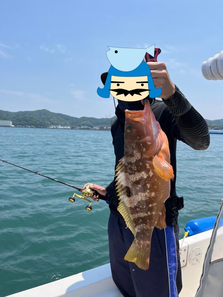 キジハタ（カラー魚拓）元画像