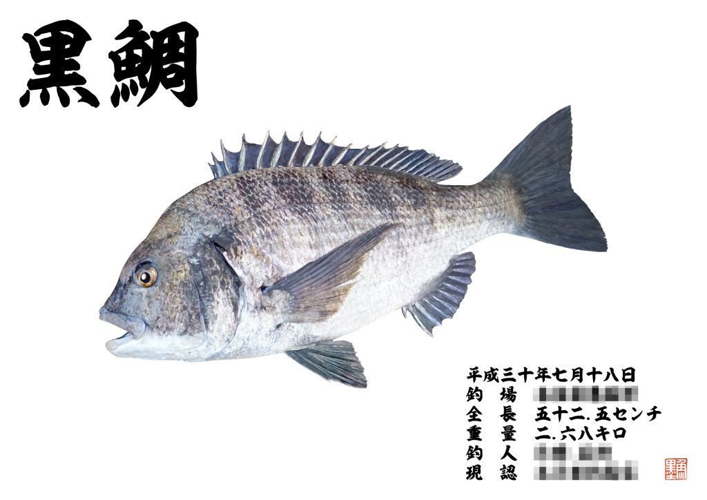 黒鯛（カラー魚拓）