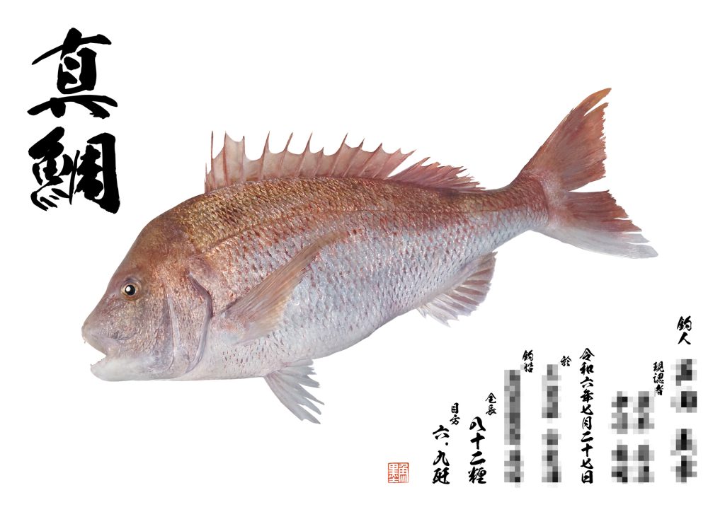 真鯛（カラー魚拓）