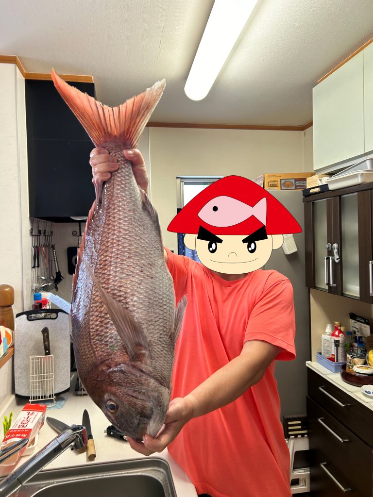 真鯛（カラー魚拓）元画像