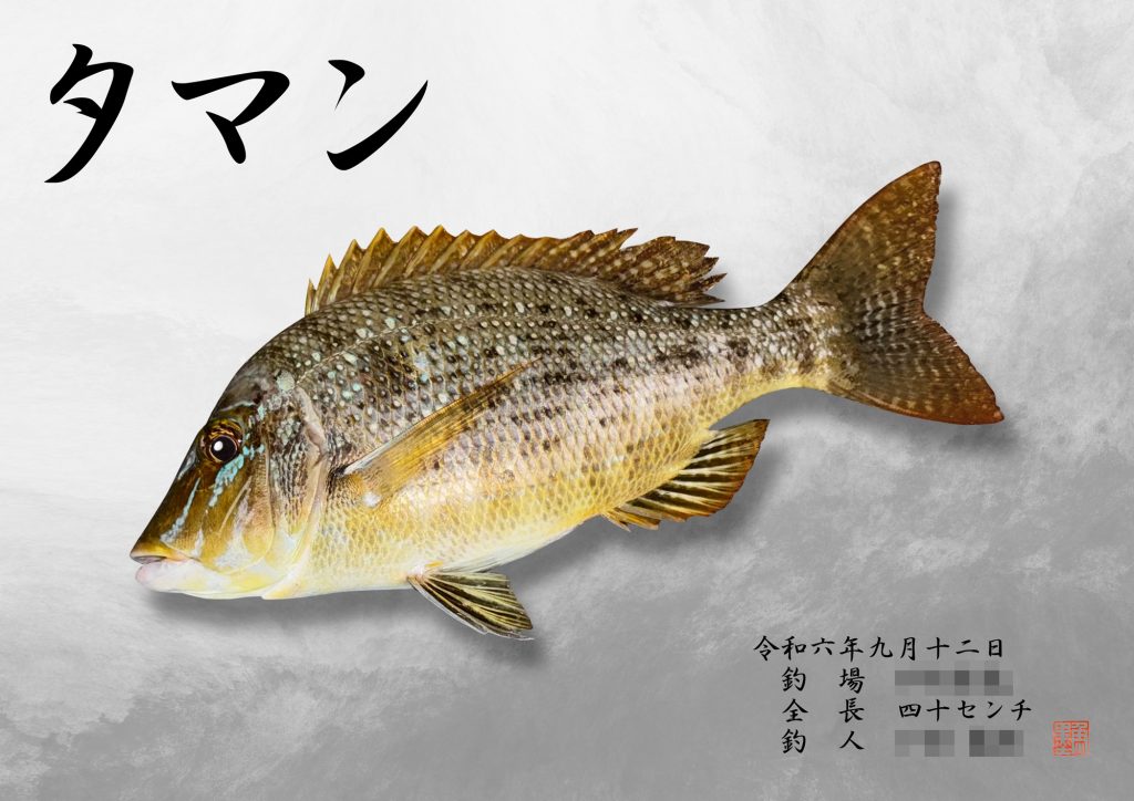 タマン（リアル魚拓）
