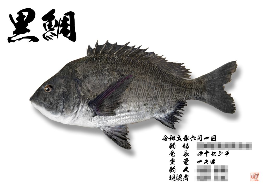 黒鯛（リアル魚拓）