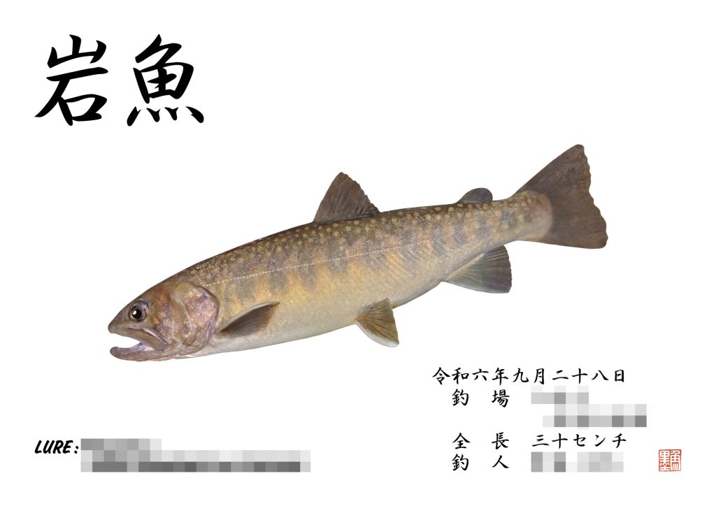 岩魚（カラー魚拓）