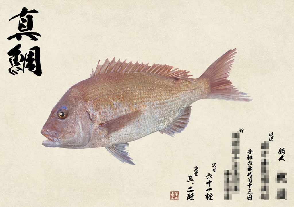 真鯛（カラー魚拓）