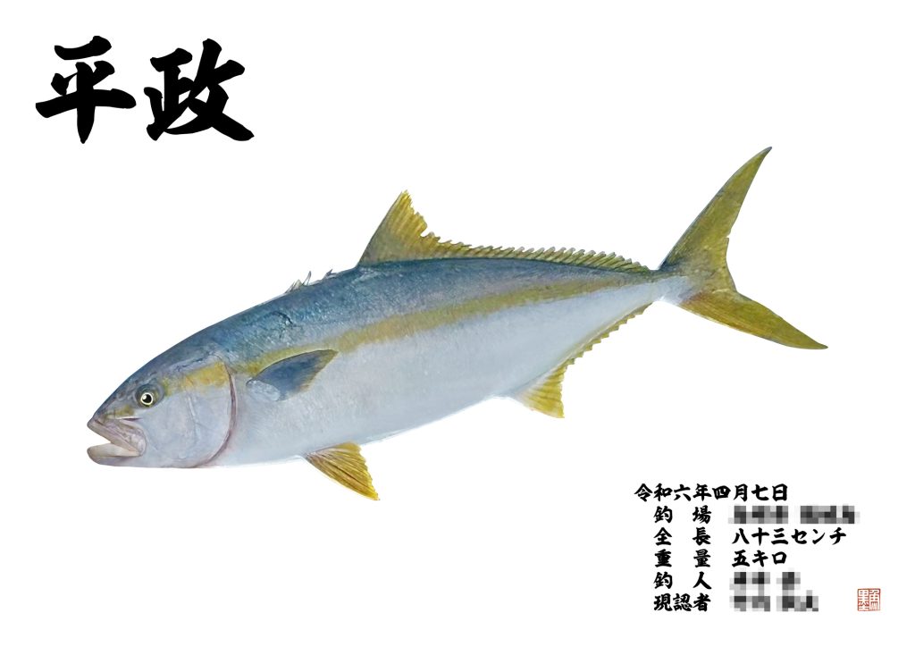 ヒラマサ)（カラー魚拓）