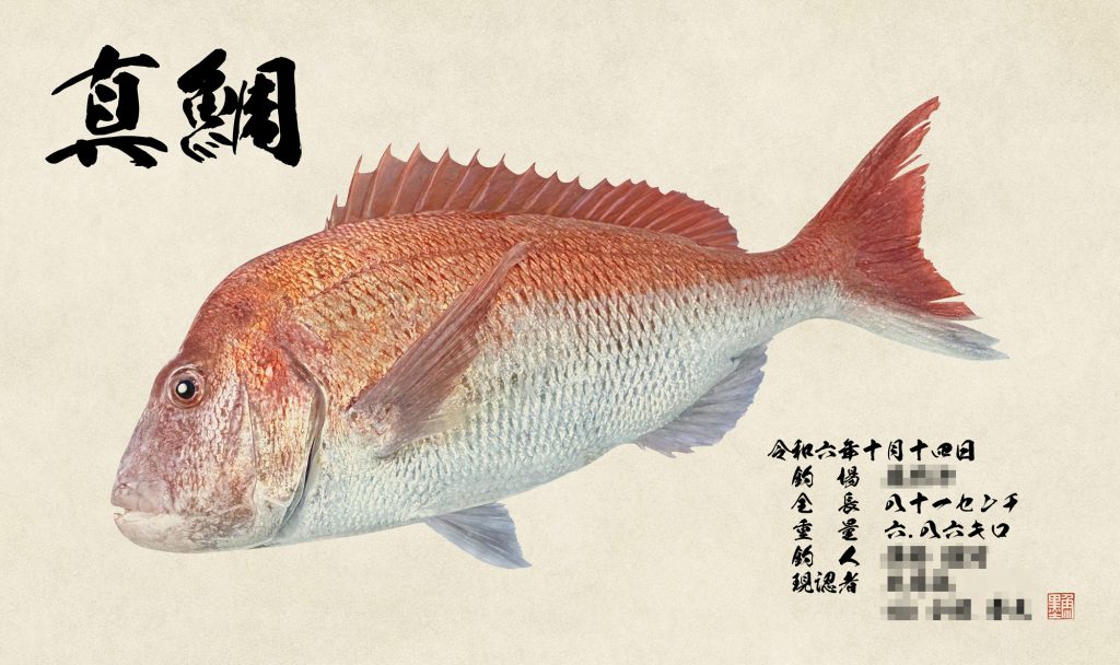 真鯛（カラー魚拓）