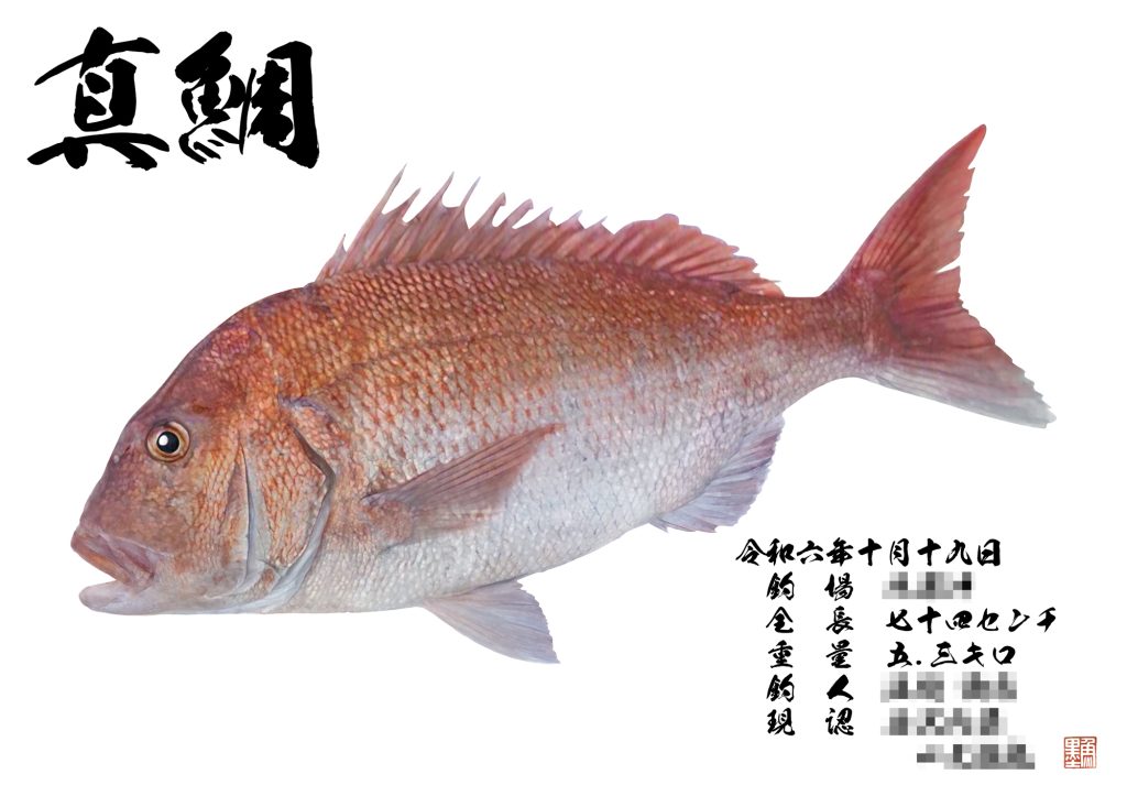 真鯛（カラー魚拓）