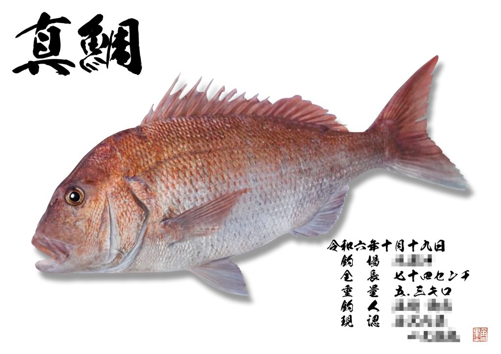 真鯛（リアル魚拓）