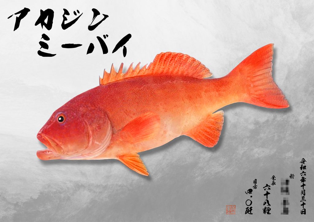 アカジンミーバイ（リアル魚拓）