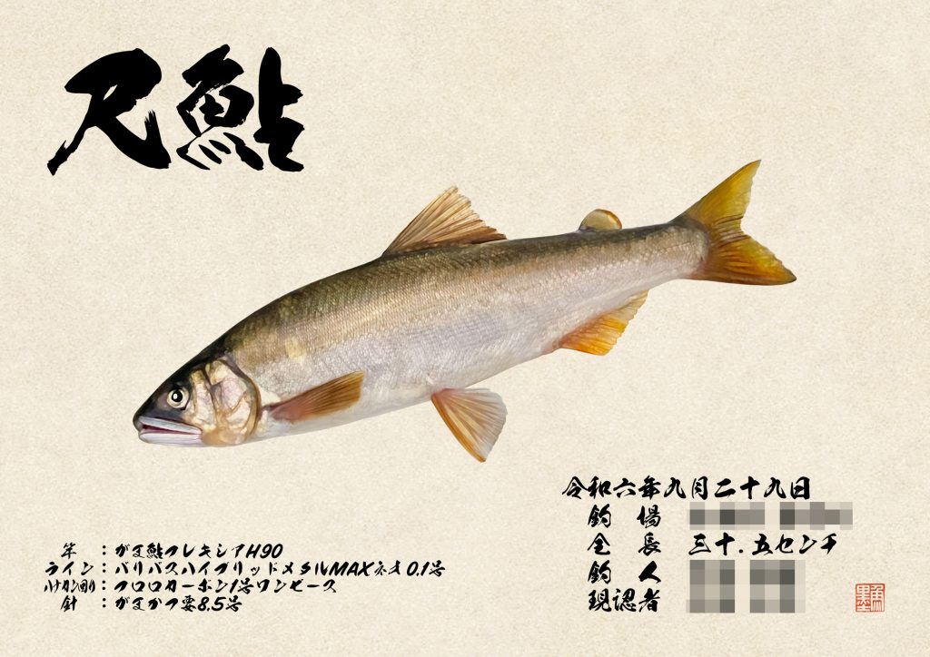 アユ（カラー魚拓）