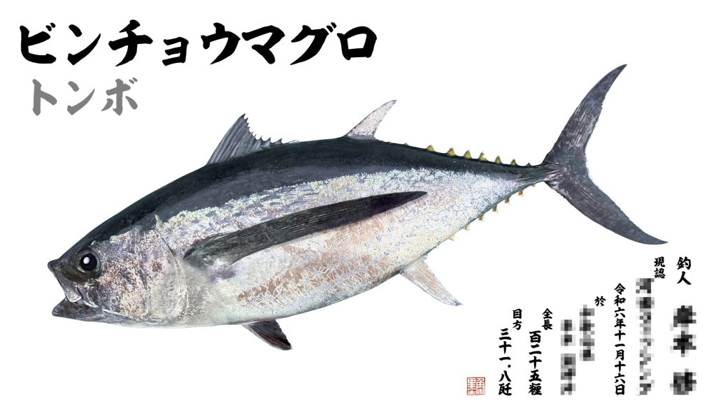 ビンチョウマグロ（カラー魚拓）